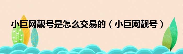 小巨网靓号是怎么交易的（小巨网靓号）