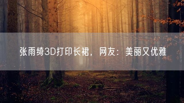 张雨绮3D打印长裙 网友：美丽又优雅