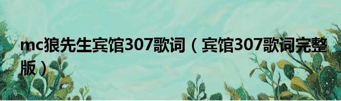 mc狼先生宾馆307歌词（宾馆307歌词完整版）