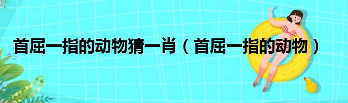首屈一指的动物猜一肖（首屈一指的动物）