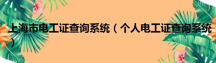 上海市电工证查询系统（个人电工证查询系统）