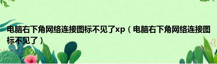 电脑右下角网络连接图标不见了xp（电脑右下角网络连接图标不见了）