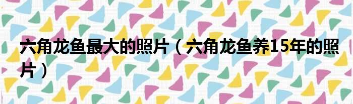 六角龙鱼最大的照片（六角龙鱼养15年的照片）