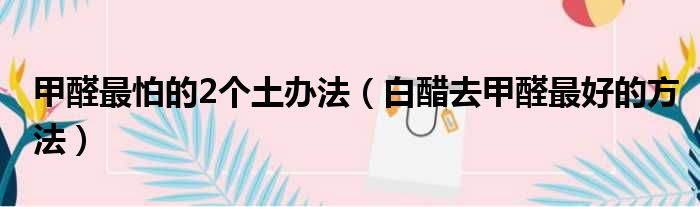 甲醛最怕的2个土办法（白醋去甲醛最好的方法）