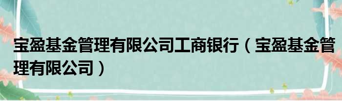 宝盈基金管理有限公司工商银行（宝盈基金管理有限公司）