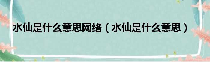 水仙是什么意思网络（水仙是什么意思）