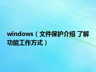 windows（文件保护介绍 了解功能工作方式）