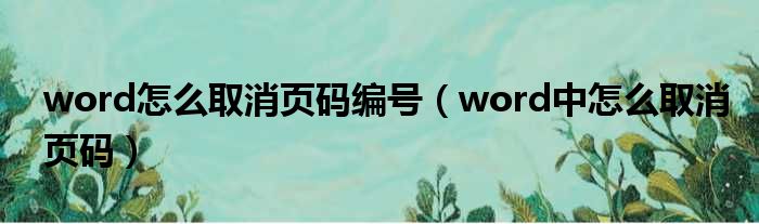 word怎么取消页码编号（word中怎么取消页码）