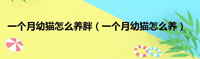 一个月幼猫怎么养胖（一个月幼猫怎么养）