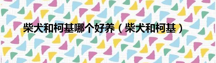 柴犬和柯基哪个好养（柴犬和柯基）