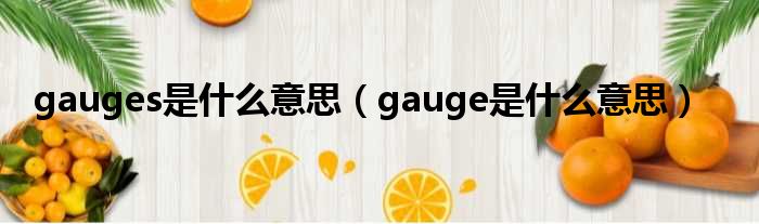 gauges是什么意思（gauge是什么意思）