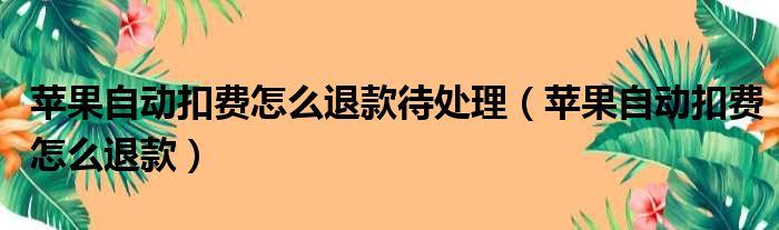 苹果自动扣费怎么退款待处理（苹果自动扣费怎么退款）