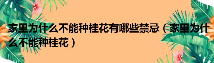 家里为什么不能种桂花有哪些禁忌（家里为什么不能种桂花）