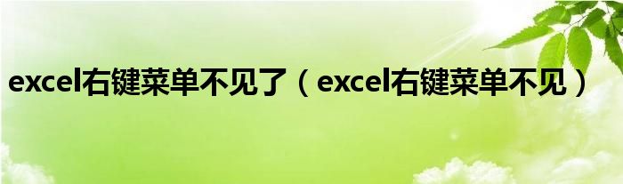 excel右键菜单不见了（excel右键菜单不见）