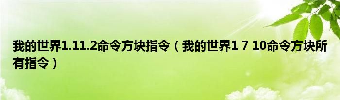 我的世界1.11.2命令方块指令（我的世界1 7 10命令方块所有指令）