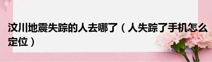 汶川地震失踪的人去哪了（人失踪了手机怎么定位）