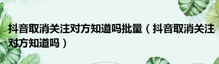 抖音取消关注对方知道吗批量（抖音取消关注对方知道吗）