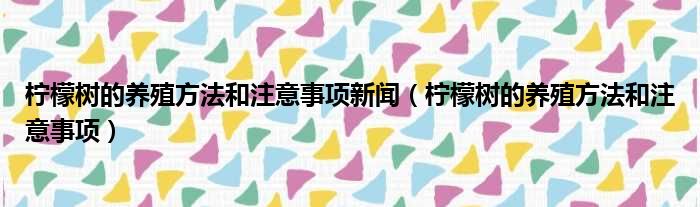 柠檬树的养殖方法和注意事项新闻（柠檬树的养殖方法和注意事项）