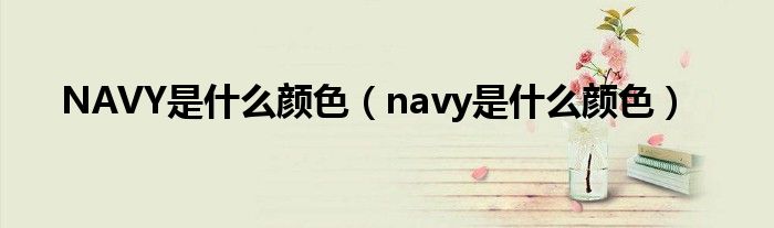 NAVY是什么颜色（navy是什么颜色）