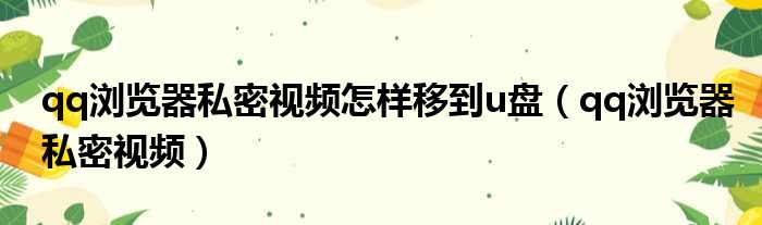 qq浏览器私密视频怎样移到u盘（qq浏览器私密视频）