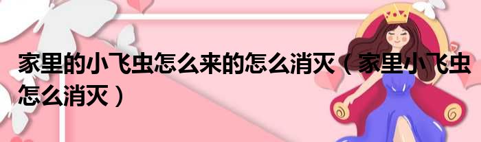 家里的小飞虫怎么来的怎么消灭（家里小飞虫怎么消灭）