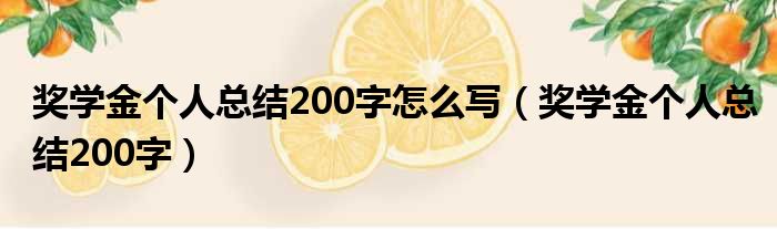 奖学金个人总结200字怎么写（奖学金个人总结200字）