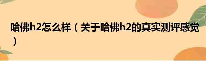 哈佛h2怎么样（关于哈佛h2的真实测评感觉）