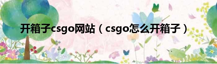 开箱子csgo网站（csgo怎么开箱子）