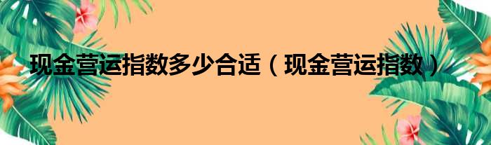 现金营运指数多少合适（现金营运指数）