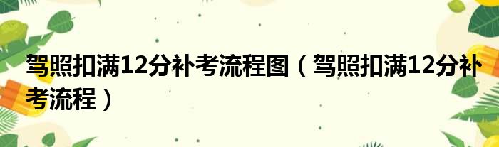 驾照扣满12分补考流程图（驾照扣满12分补考流程）