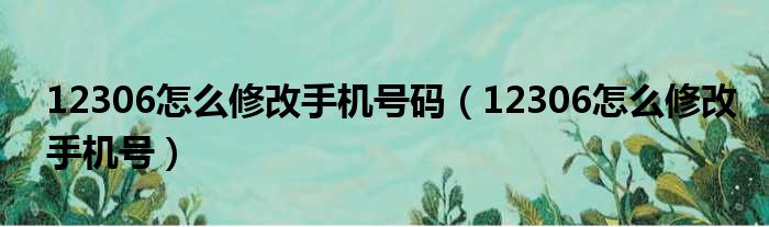 12306怎么修改手机号码（12306怎么修改手机号）