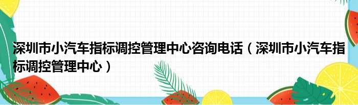 深圳市小汽车指标调控管理中心咨询电话（深圳市小汽车指标调控管理中心）