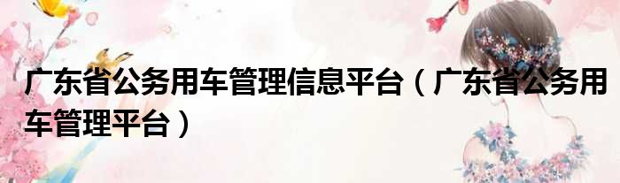 广东省公务用车管理信息平台（广东省公务用车管理平台）