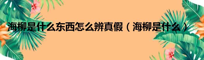 海柳是什么东西怎么辨真假（海柳是什么）