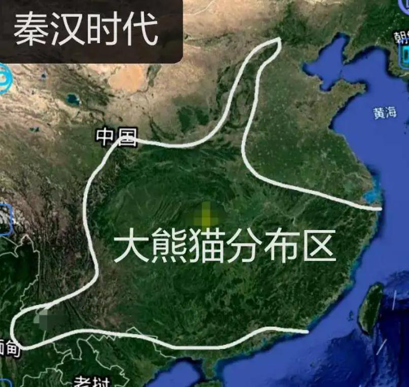 野生大熊猫生活在什么地方-为什么（大熊猫生活在什么地方）(图10)