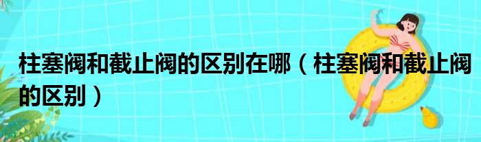 柱塞阀和截止阀的区别在哪（柱塞阀和截止阀的区别）