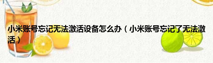 小米账号忘记无法激活设备怎么办（小米账号忘记了无法激活）