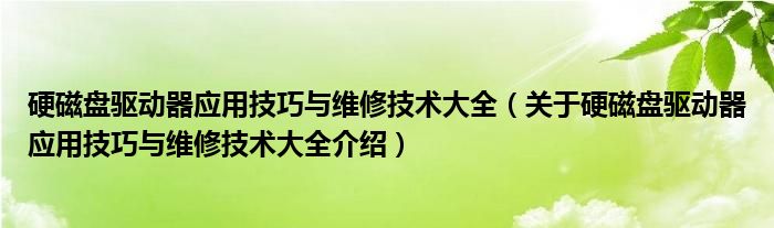  硬磁盘驱动器应用技巧与维修技术大全（关于硬磁盘驱动器应用技巧与维修技术大全介绍）