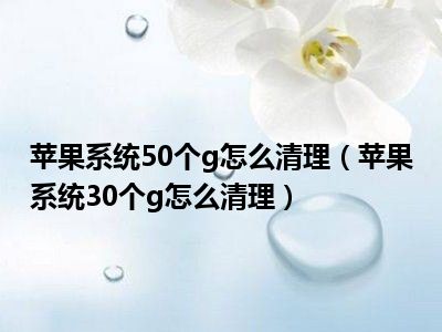 苹果系统50个g怎么清理（苹果系统30个g怎么清理）