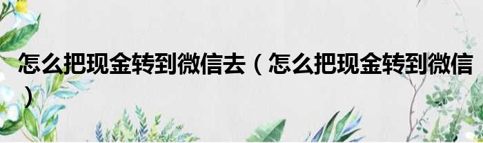 怎么把现金转到微信去（怎么把现金转到微信）