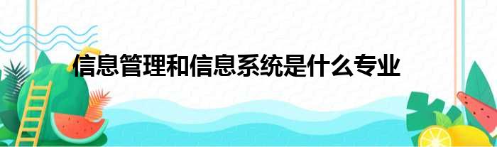 信息管理和信息系统是什么专业