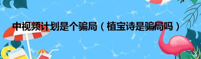 中视频计划是个骗局（植宝诗是骗局吗）