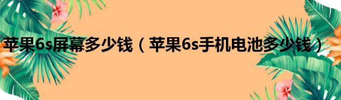 苹果6s屏幕多少钱（苹果6s手机电池多少钱）