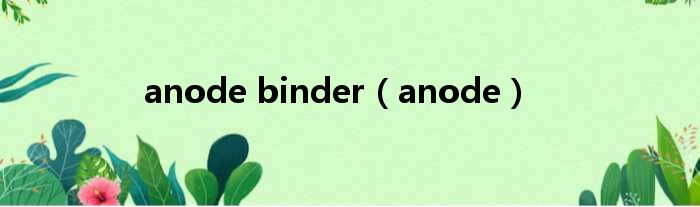 anode binder（anode）