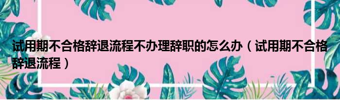 试用期不合格辞退流程不办理辞职的怎么办（试用期不合格辞退流程）