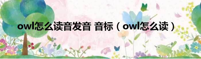 owl怎么读音发音 音标（owl怎么读）