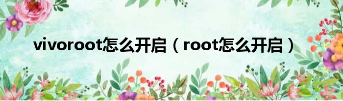 vivoroot怎么开启（root怎么开启）