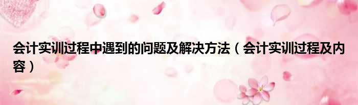 会计实训过程中遇到的问题及解决方法（会计实训过程及内容）