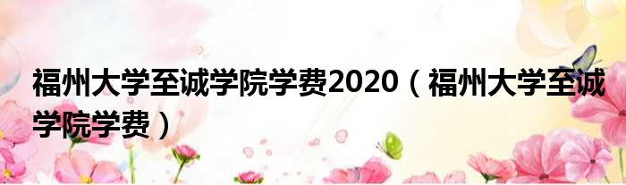 福州大学至诚学院学费2020（福州大学至诚学院学费）