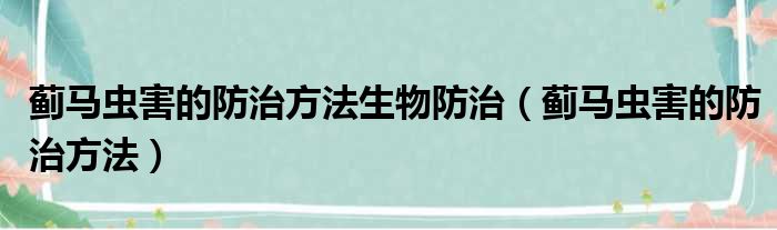 蓟马虫害的防治方法生物防治（蓟马虫害的防治方法）